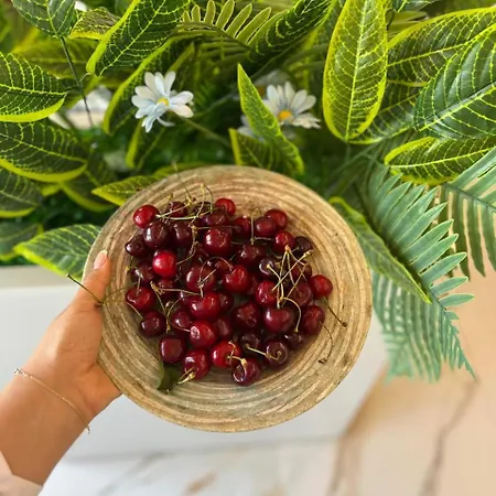 Star & Restaurant דירה