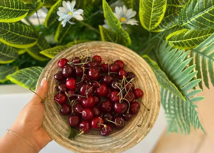 Star & Restaurant アパート